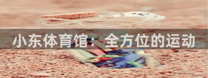 qy千亿球友会体育：小东体育馆：全方位的运动