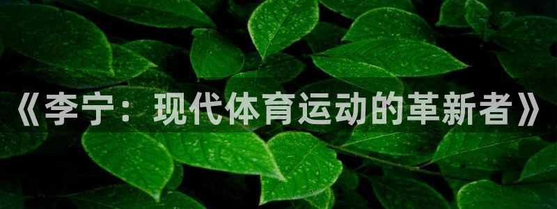 球友会体育官网：《李宁：现代体育运动的革新者》