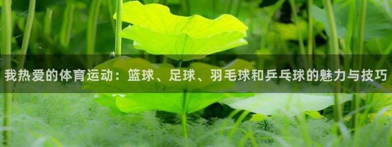 qy球友会体育网址：我热爱的体育运动：篮球、足球、羽毛球和乒乓球的魅力与技巧