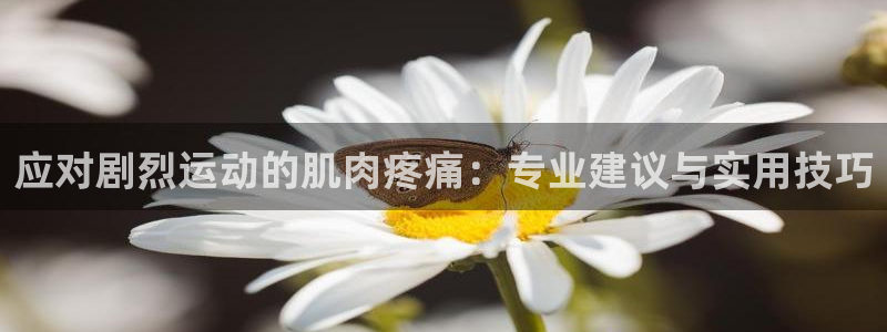 qy球友会体育：应对剧烈运动的肌肉疼痛：专业建议与实用技巧