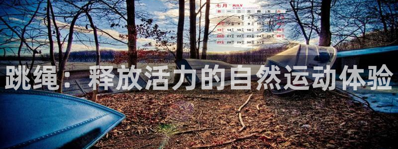 qy球友会体育：跳绳：释放活力的自然运动体验