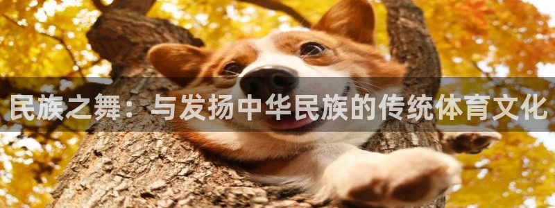 球友会体育直播：民族之舞：与发扬中华民族的传统体育文化