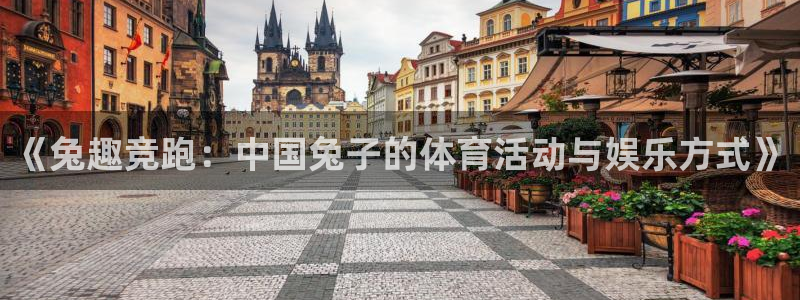 qy球友会体育：《兔趣竞跑：中国兔子的体育活动与娱乐方式》