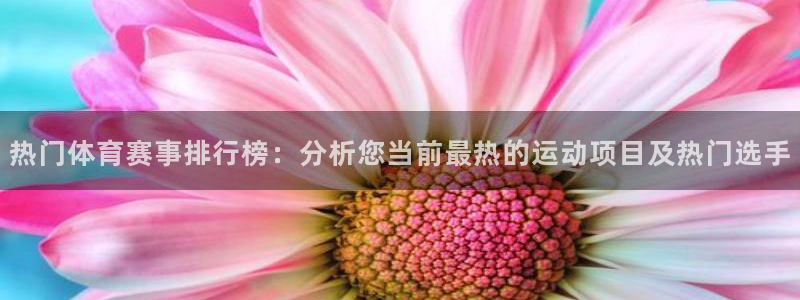 qy球友会体育网站：热门体育赛事排行榜：分析您当前最热的运动项目及热门选手